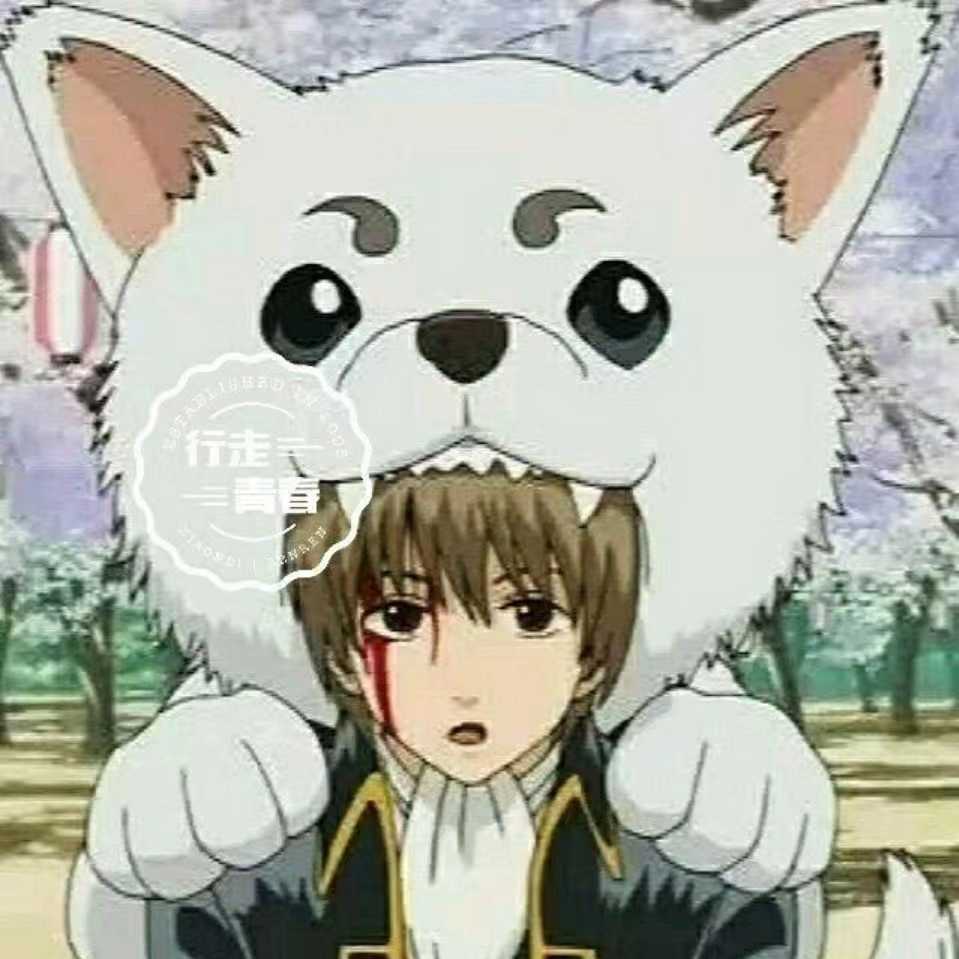 博主头像